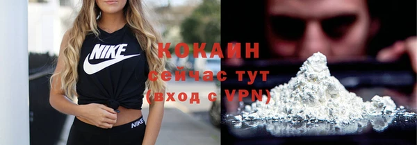 МДПВ Нея