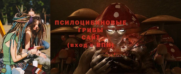 СК Гусиноозёрск