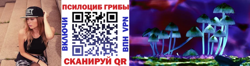 Псилоцибиновые грибы GOLDEN TEACHER  мориарти телеграм  Короча  как найти  